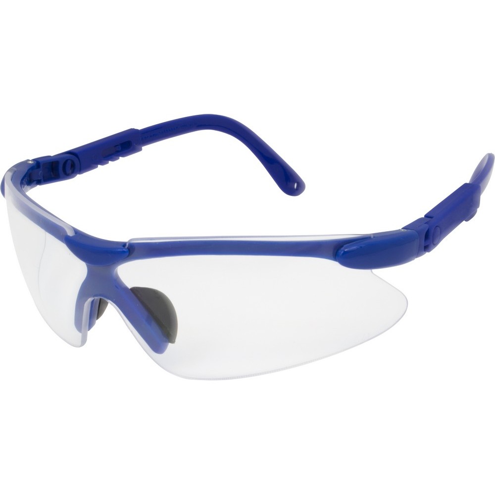 Safety Glasses, Blue, Frame, Clear Lens, Ratchet (12 Pair Per Box)