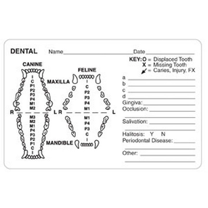 Dental Grid Canine/Feline 4" x 25/8" White Label (Roll of 240)
