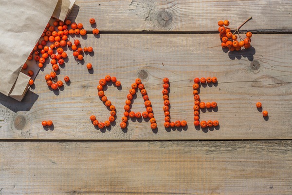 autumn fruits spelling out the word, "sale"