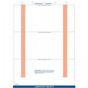 BF-VT-3 Laboratory Report Mount Sheets