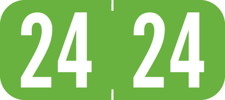 Tab Products kompatible Yearband Etiketten, Vinyl Lager. 1/2" x 1-1/8" - Rolle - Bild 4 von 8