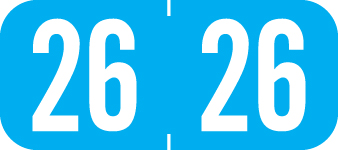 Tab Products kompatible Yearband Etiketten, Vinyl Lager. 1/2" x 1-1/8" - Rolle - Bild 3 von 8