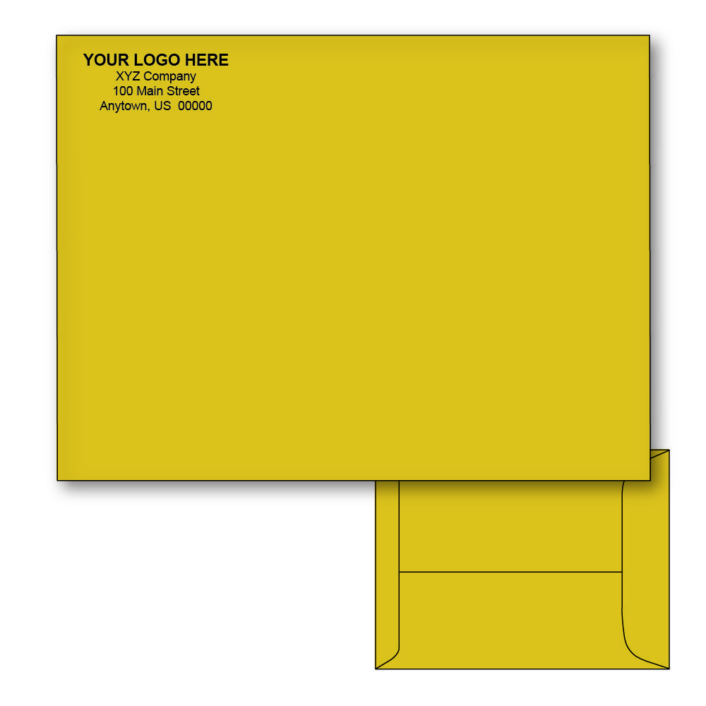 These 9" x 12" catalog envelopes are ideal for mailing invoices