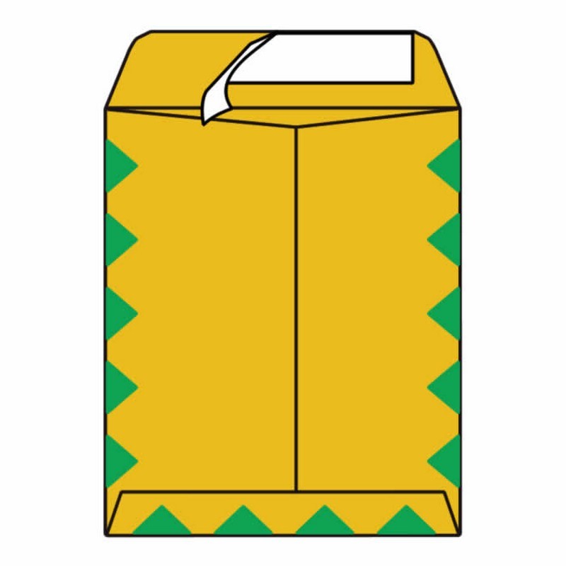 Open End First Class Catalog Envelopes, 9" x 12", 28, Green Diamond