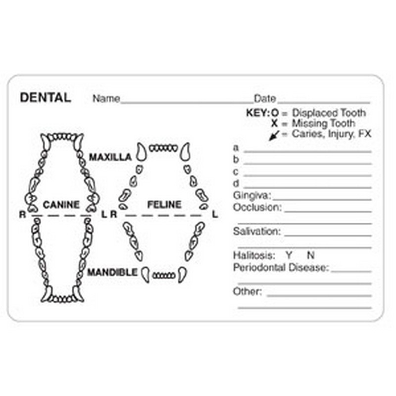 Dental Grid Canine/Feline 4" x 25/8" White Label (Roll of 240)