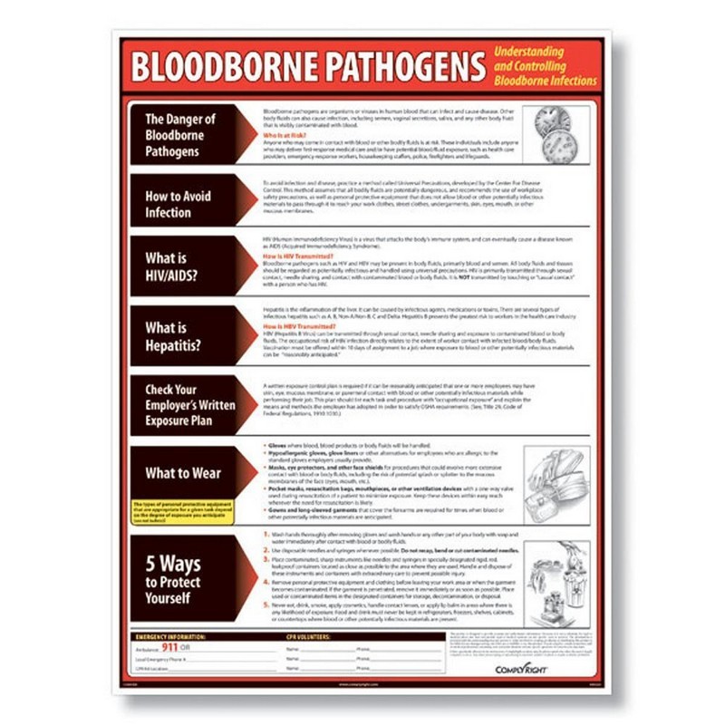 ComplyRight Bloodborne Pathogens Poster (English) 18" x 24" 1 per Pack